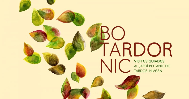BOTArdorNIC, VISITAS GUIADAS de invierno POR EL JARDÍN (PÚBLICO FAMILIAR) CASTELLANO