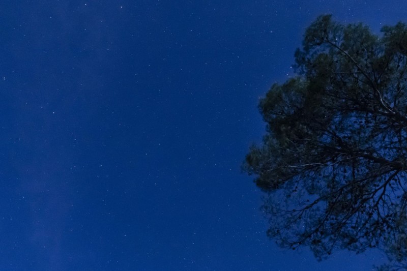 CHARLA Y OBSERVACIÓN ASTRONÓMICA