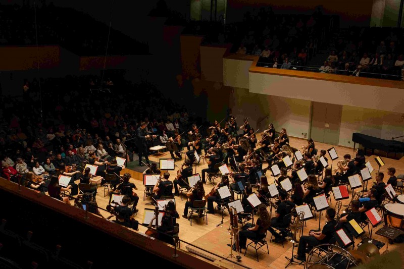 ENTRADA LLIURE. Orquestra Filharmònica de la Universitat de València