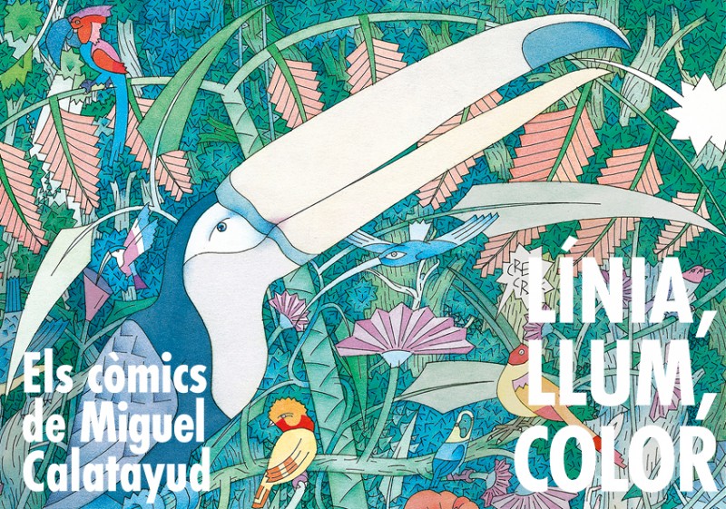 Lectures (acompanyades) sobre Calatayud - L&Iacute;NEA, LUZ, COLOR Los c&oacute;mics de Miguel Calatayud